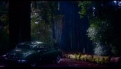 Vertigo (1958)Big Basin Redwoods State Park, California